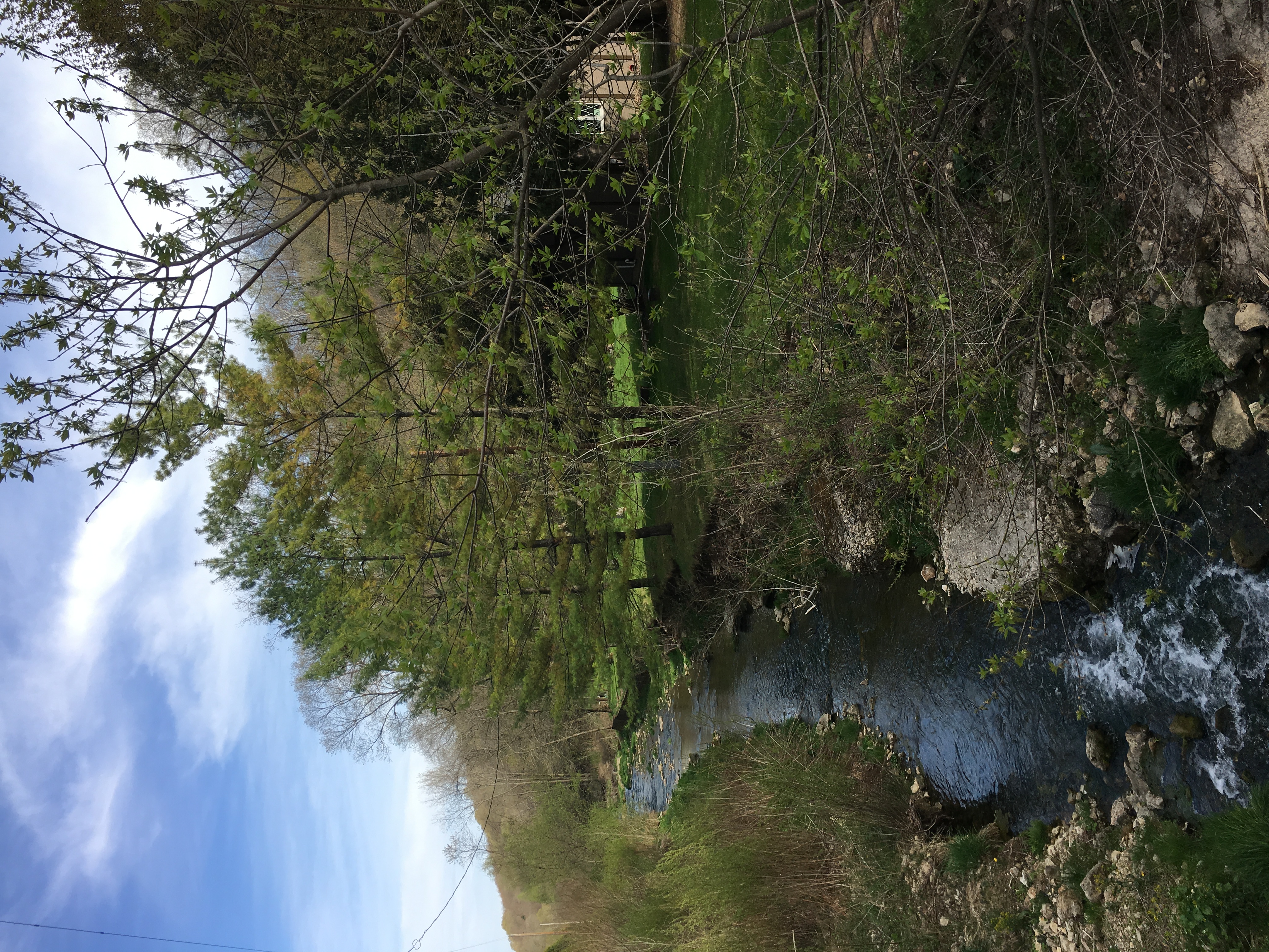 View of a stream in early spring